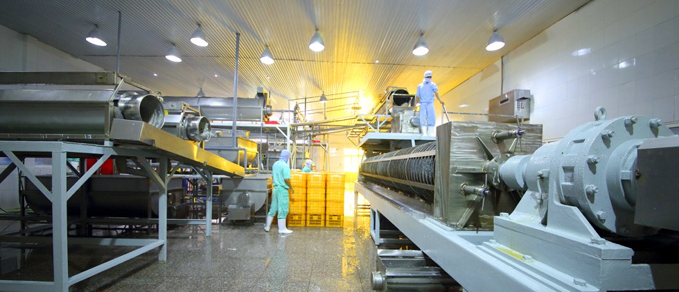 Production line